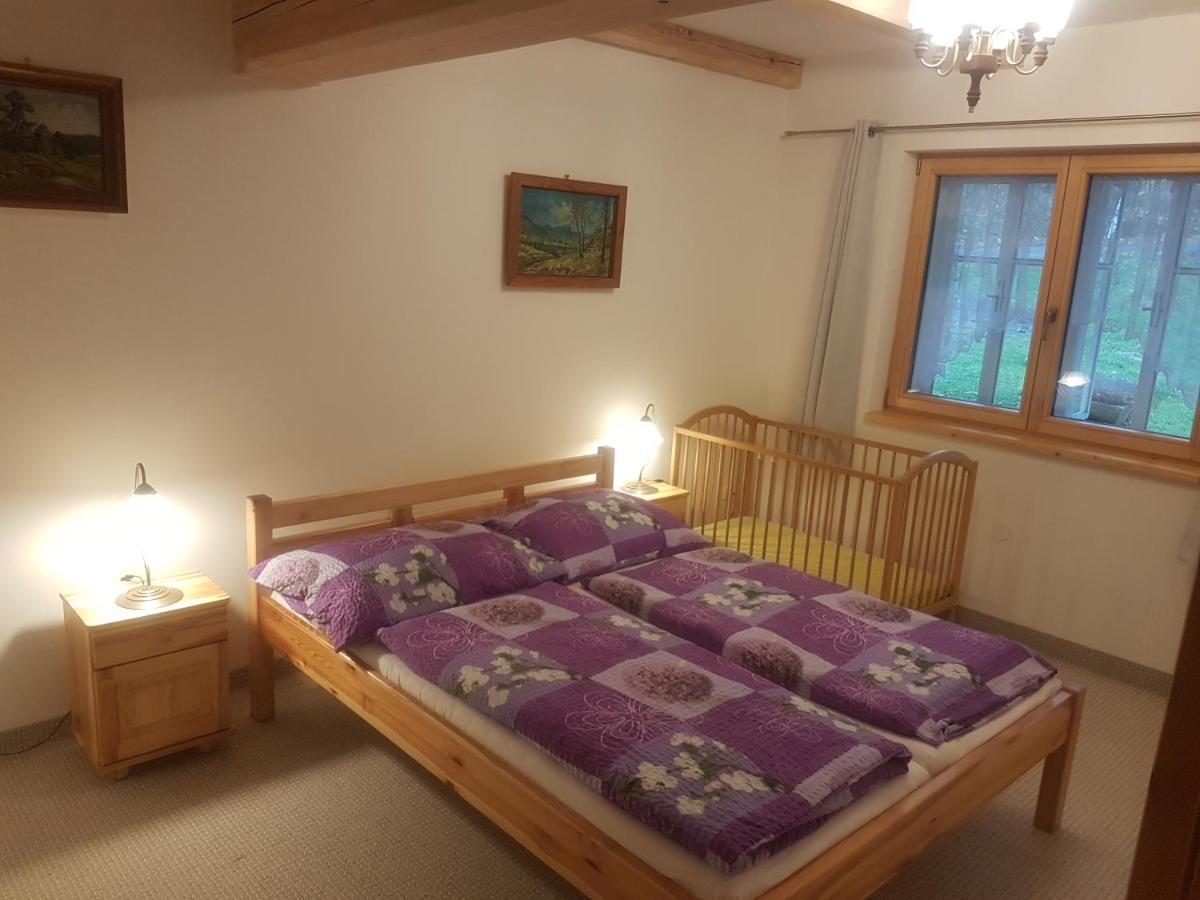 Byt Knezice U Vrchlabí Kültér fotó